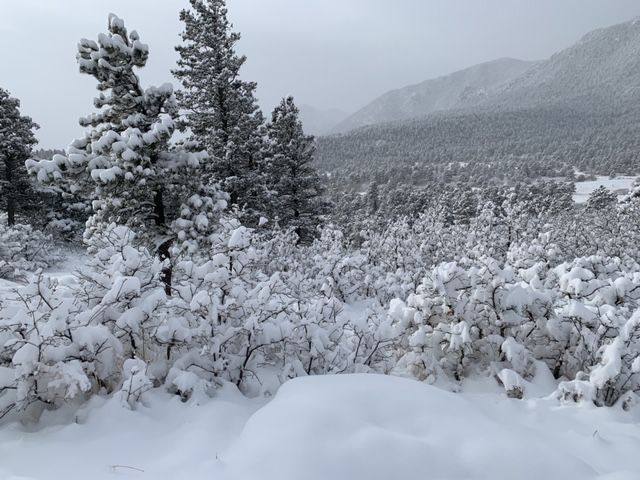 Chapel Trail